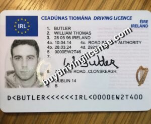 Buy Irish Driving Licence – No Test – Registered & EU‑Valid